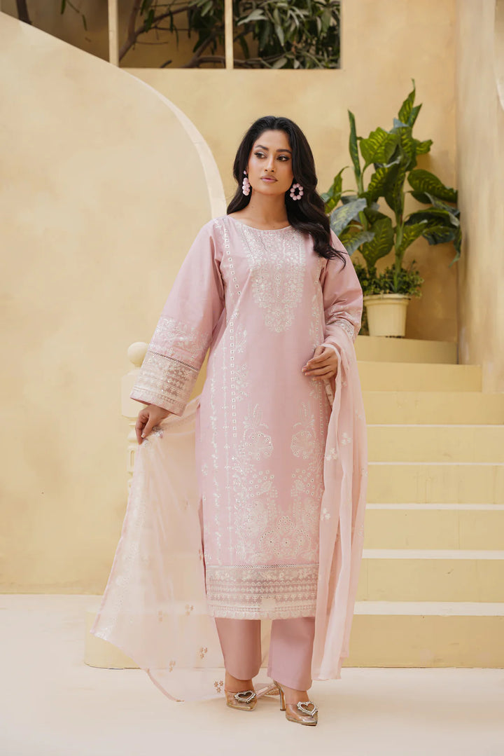 Noor 3pcs Embroidered Dress