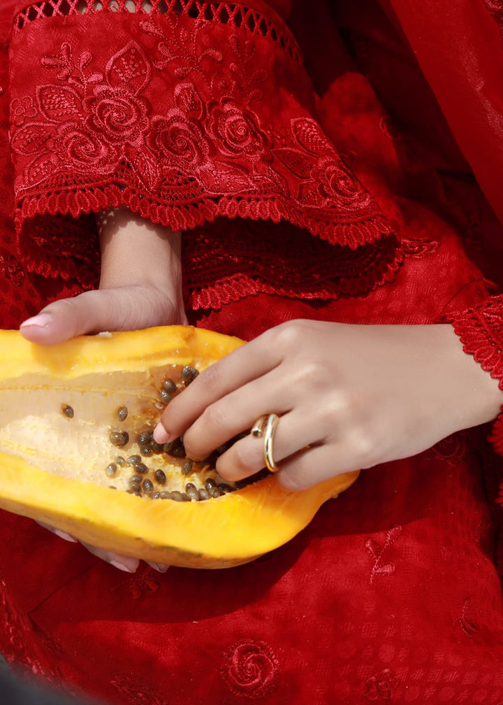 Red Rose Luxury Embroidered Suit