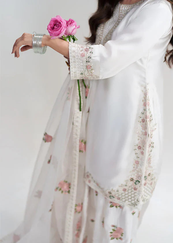 NEHRA 3pc EMBROIDERED DRESS