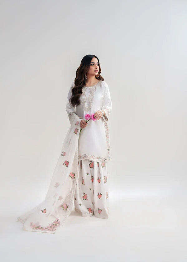NEHRA 3pc EMBROIDERED DRESS